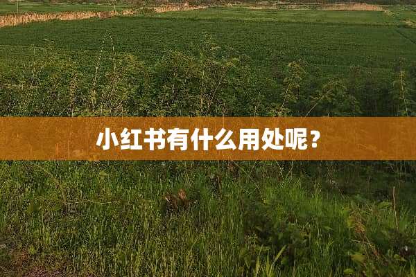 小红书有什么用处呢？
