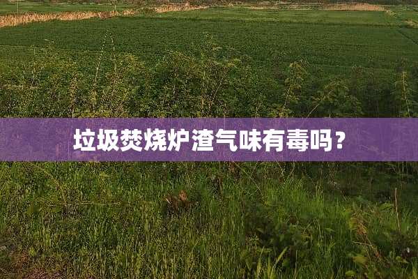 垃圾焚烧炉渣气味有毒吗？