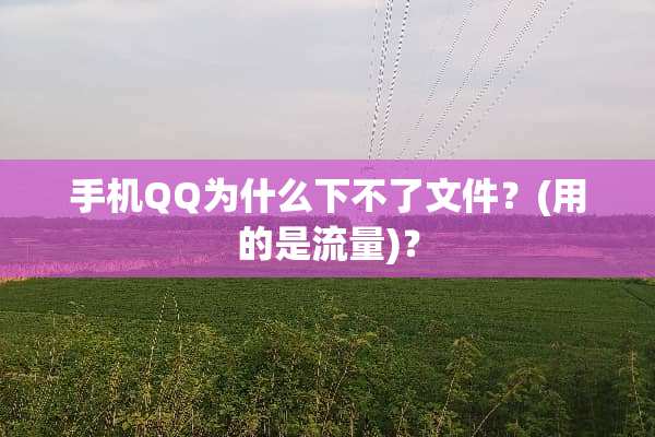 手机QQ为什么下不了文件？(用的是流量)？