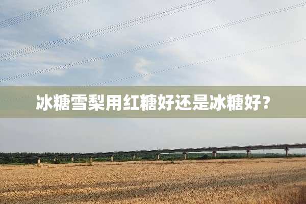 冰糖雪梨用红糖好还是冰糖好？