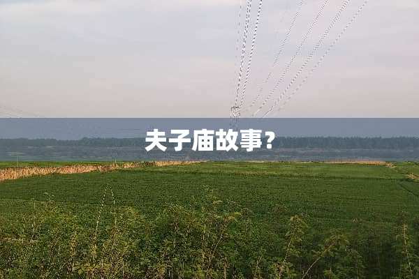 夫子庙故事？