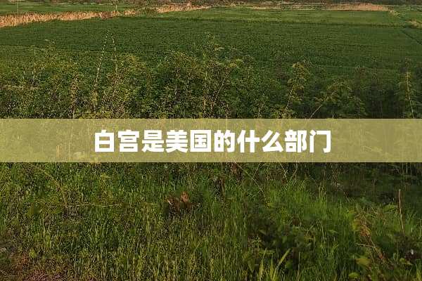 白宫是美国的什么部门