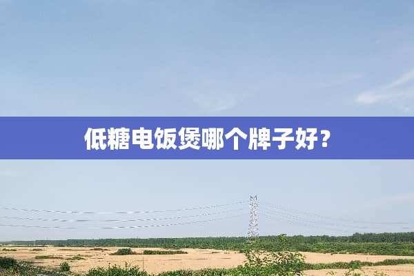 低糖电饭煲哪个牌子好？