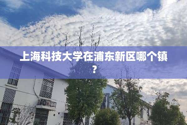 上海科技大学在浦东新区哪个镇？