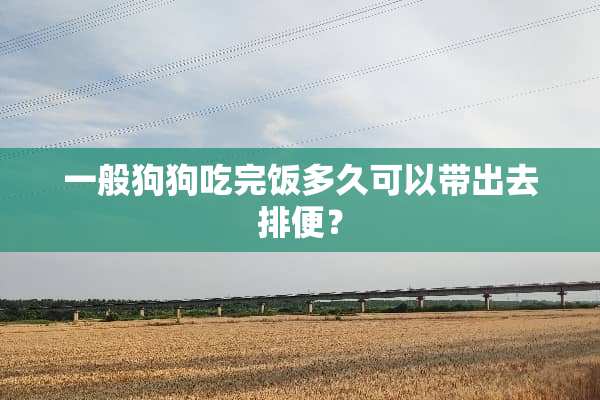 一般狗狗吃完饭多久可以带出去排便？