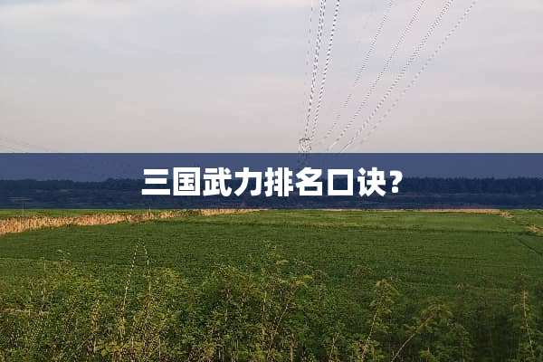 三国**排名口诀？
