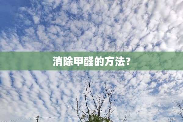 消除甲醛的方法？