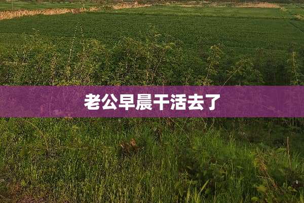 老公早晨干活去了