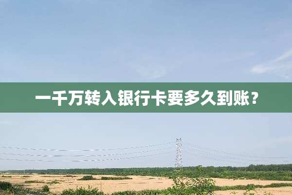 一千万转入***要多久到账？