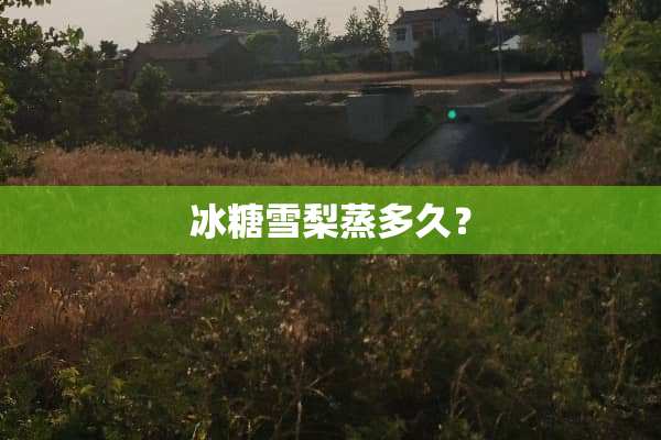 冰糖雪梨蒸多久？