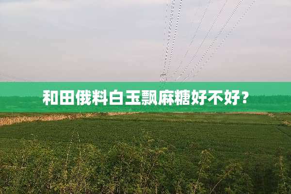 和田俄料白玉飘麻糖好不好？