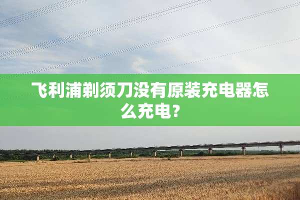 飞利浦剃须刀没有原装充电器怎么充电？