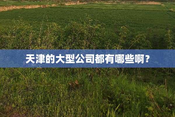 天津的大型公司都有哪些啊？