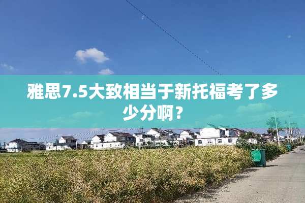 雅思7.5大致相当于新托福考了多少分啊？