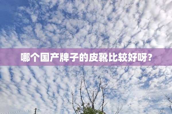 哪个国产牌子的皮靴比较好呀？