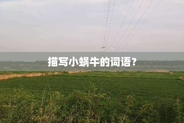 描写小蜗牛的词语？