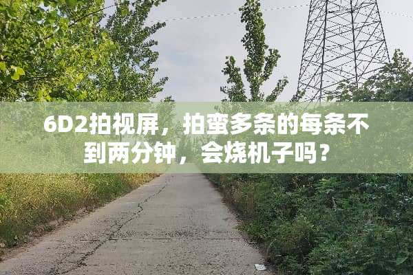 6D2拍视屏，拍蛮多条的每条不到两分钟，会烧机子吗？