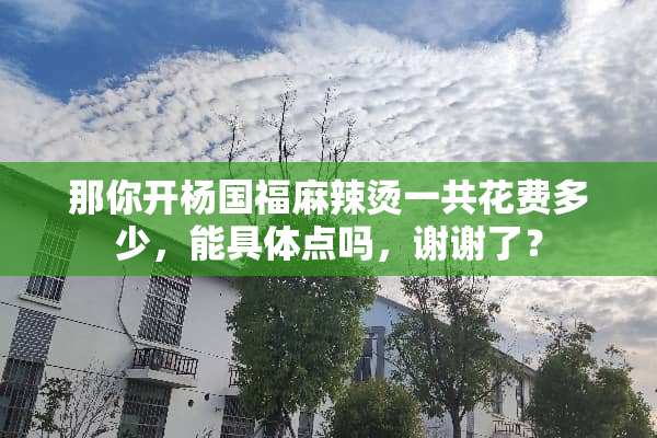 那你开杨国福麻辣烫一共花费多少，能具体点吗，谢谢了？