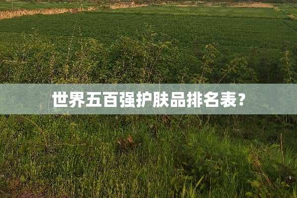 世界五百强护肤品排名表？