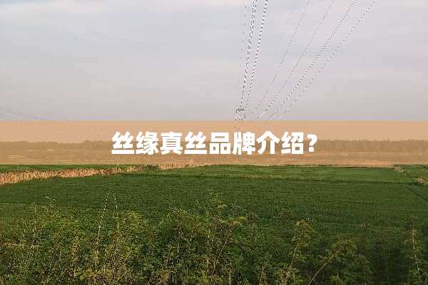 丝缘真丝品牌介绍？