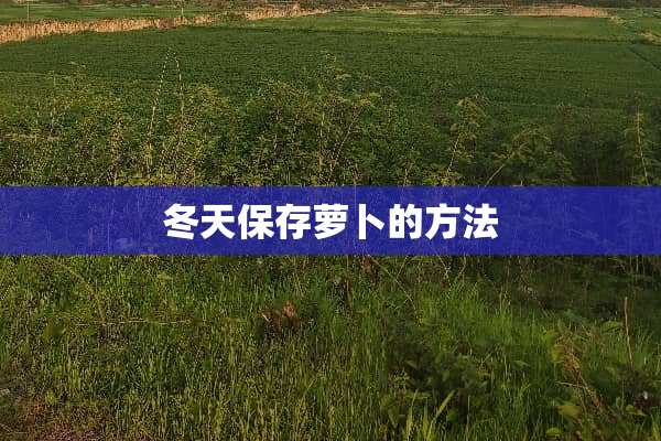 冬天保存萝卜的方法