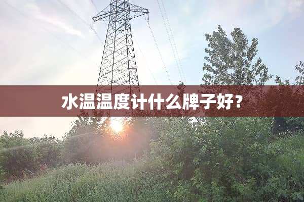 水温温度计什么牌子好？