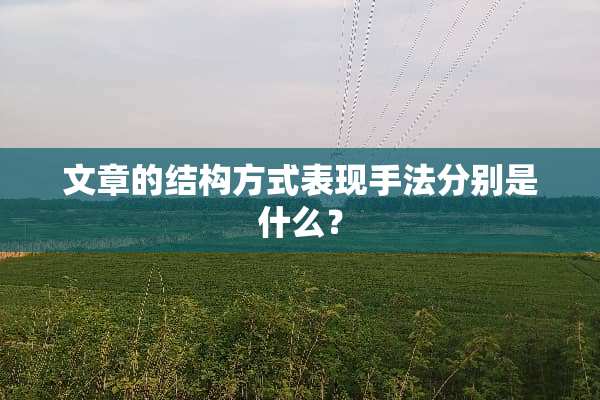 文章的结构方式表现手法分别是什么？