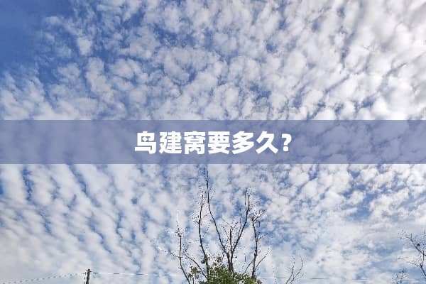 鸟建窝要多久？