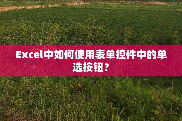 Excel中如何使用表单控件中的单选按钮？