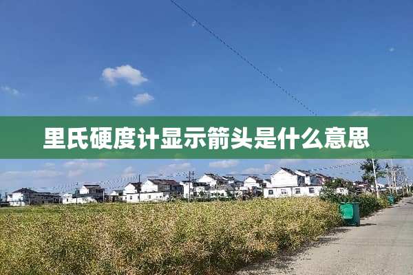 里氏硬度计显示箭头是什么意思