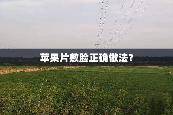 苹果片敷脸正确做法？