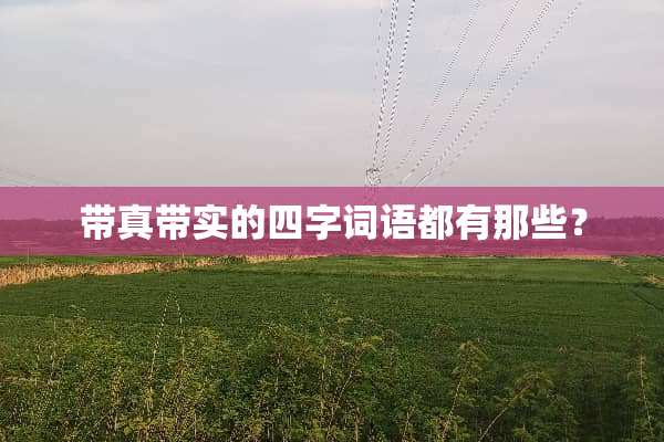 带真带实的四字词语都有那些？