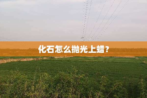 化石怎么抛光上蜡？