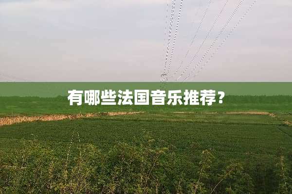 有哪些法国音乐推荐？