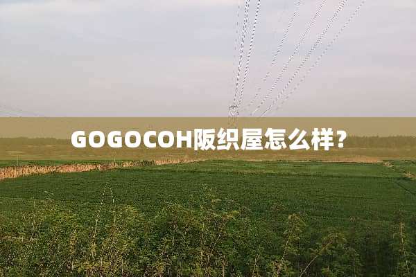 GOGOCOH阪织屋怎么样？