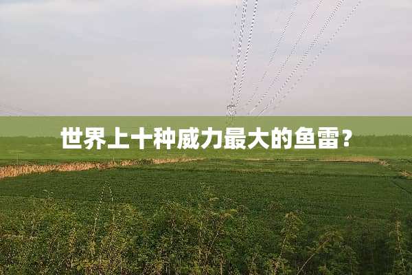 世界上十种威力最大的鱼雷？