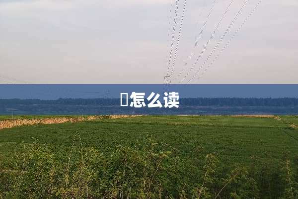 鸮怎么读