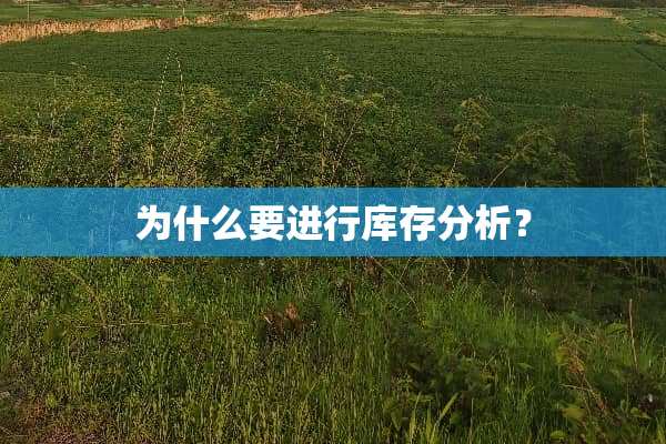 为什么要进行库存分析？
