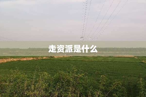 走资派是什么
