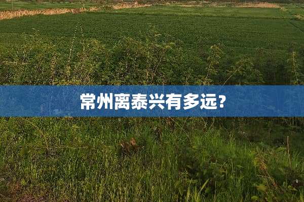 常州离泰兴有多远？