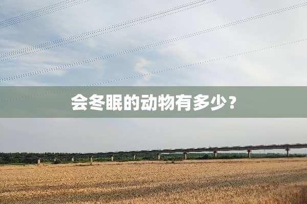 会冬眠的动物有多少？