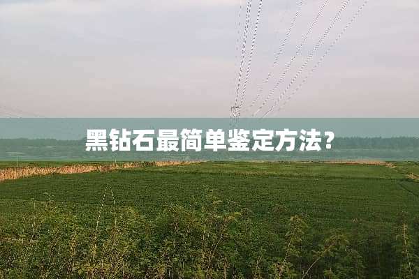 黑钻石最简单鉴定方法？