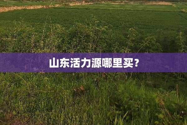 山东活力源哪里买？