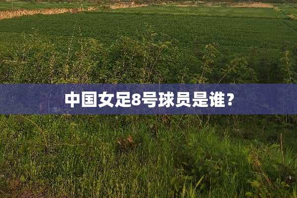 中国女足8号球员是谁？