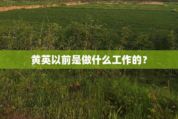 黄英以前是做什么工作的？