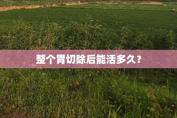 整个胃切除后能活多久？