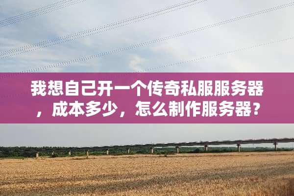 我想自己开一个传奇**服务器，成本多少，怎么制作服务器？