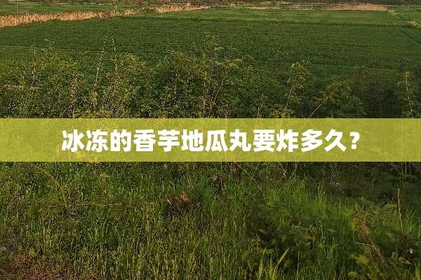 冰冻的香芋地瓜丸要炸多久？