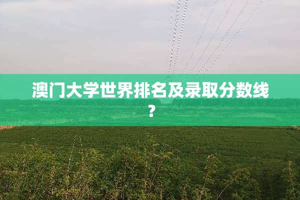**大学世界排名及录取分数线？