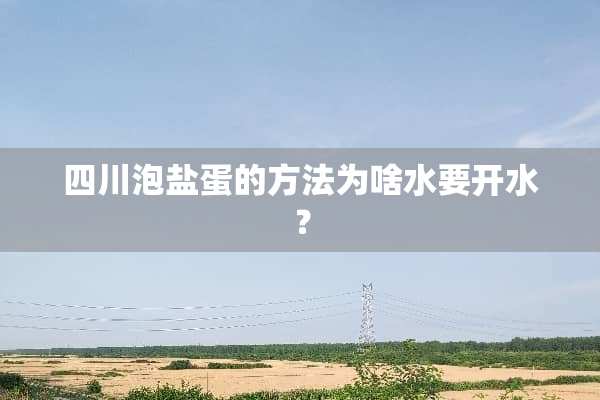 四川泡盐蛋的方法为啥水要开水？